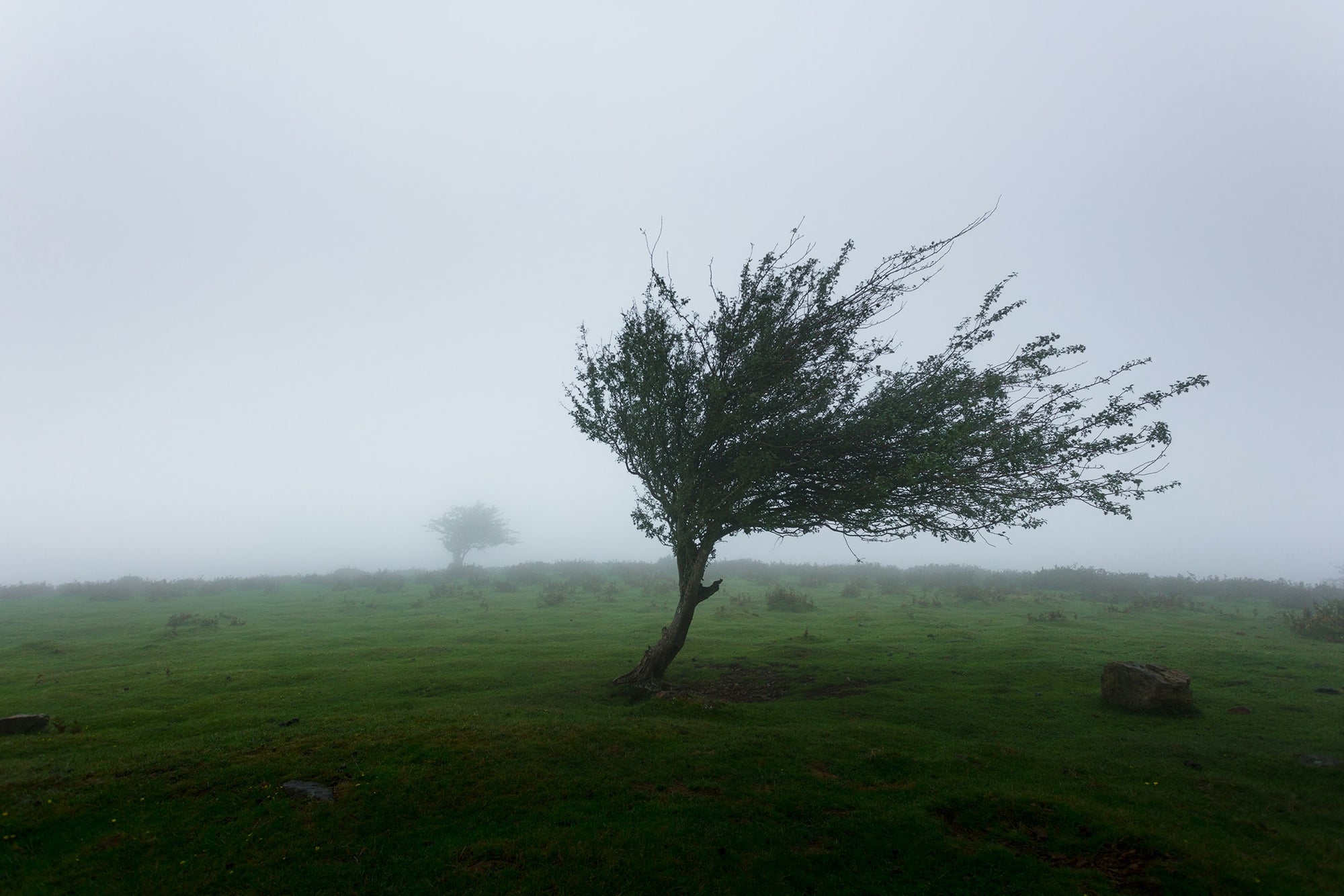 Dangerous Winds article on the Beaufort Scale for Wind Force by the Custom Windsock Company