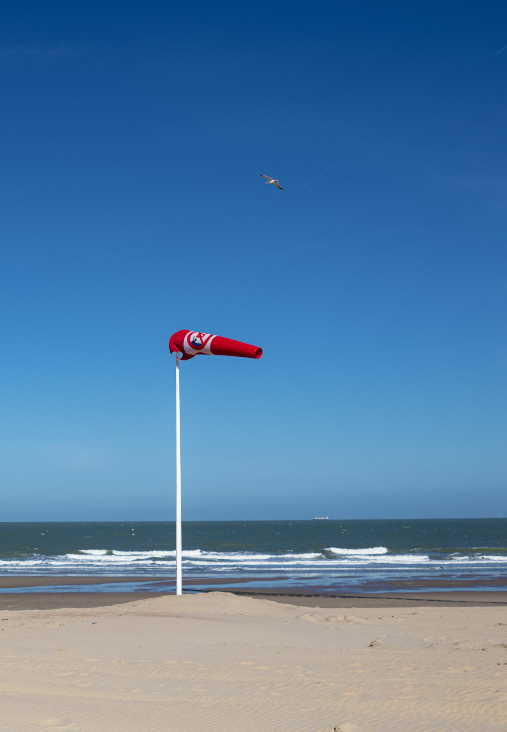 Custom Windsocks Beach Windsocks - The Custom Windsock Co.
