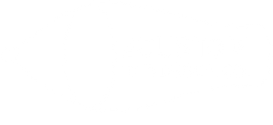 The Custom Windsock Co.