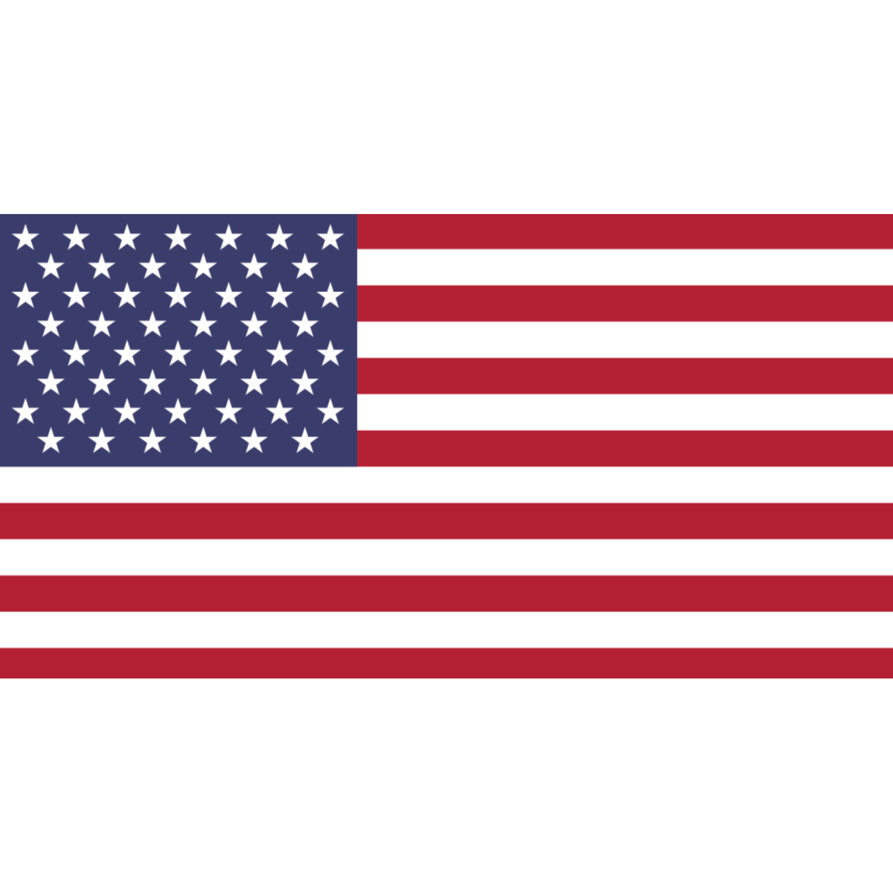 American Flag. U.S.A. Flag from the Custom WIndsock co.