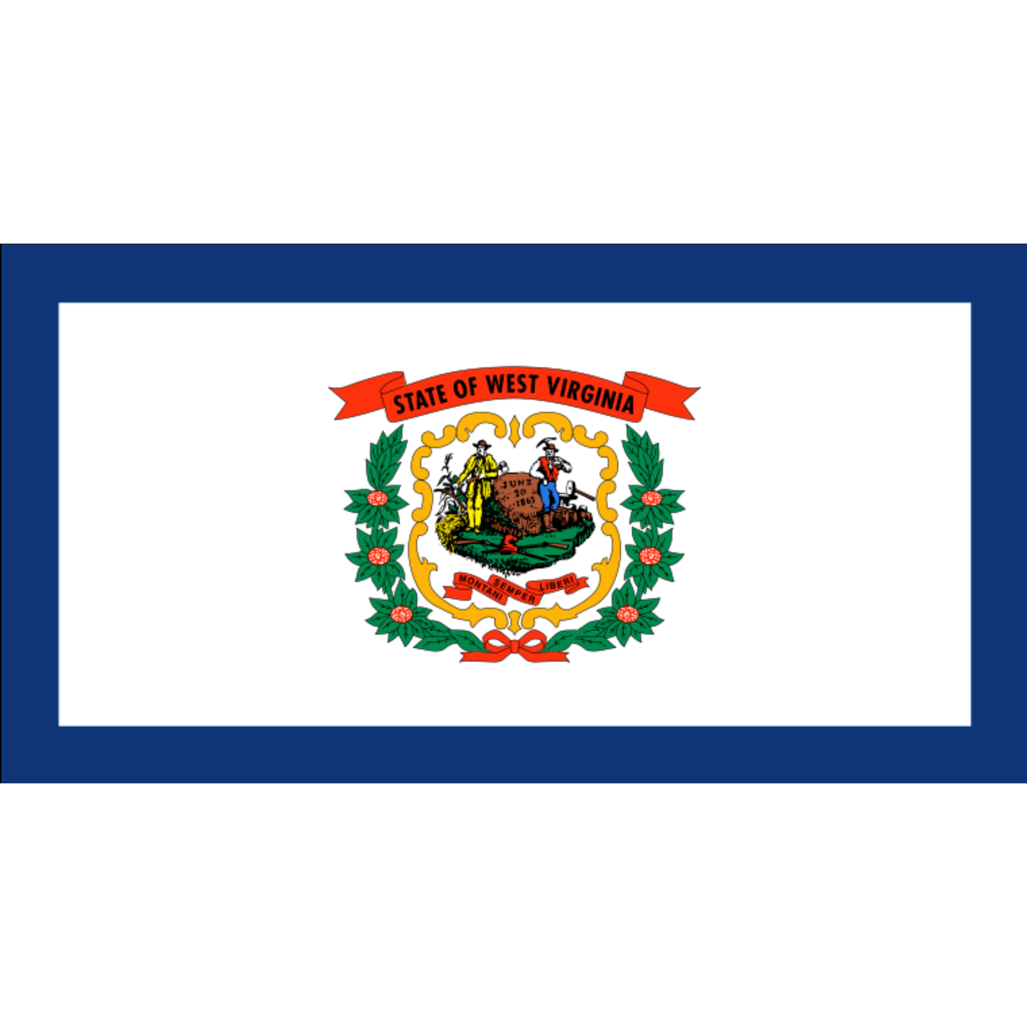 State Flag of West Virginia made on Lightweight Knitted Polyester  - The Custom Windsock Co.